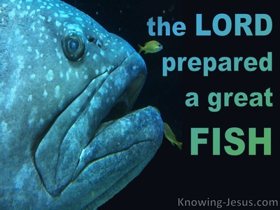 Jonah 1:17
